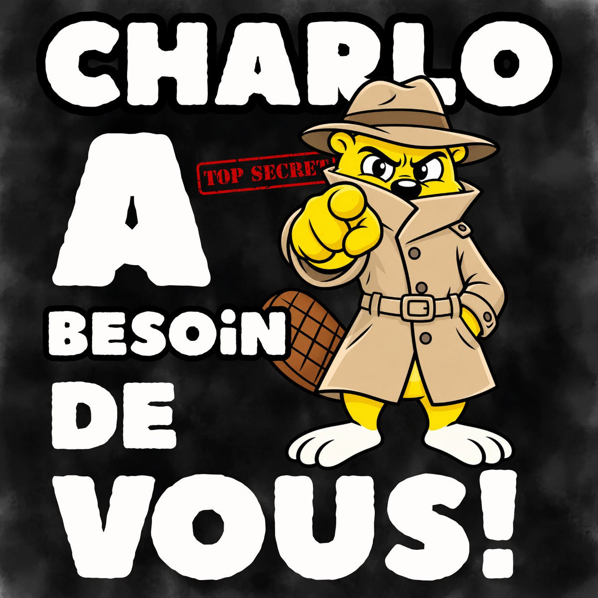 Chasse aux trésors - Nouveauté MYSTÈRE